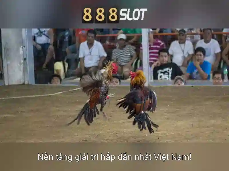 Trang Chủ 888SLOT